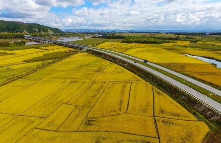 黑龍江牡丹江簽訂農(nóng)田托管合同總面積超160萬畝