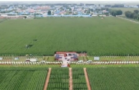 吉林松原：打好糧保豐收 爭當(dāng)糧食安全“壓艙石”