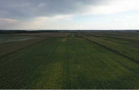 黑龍江黑河愛輝區(qū)：原糧“深加工” “身價(jià)”漲起來(lái)