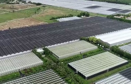 海南陵水：科技助力 吹著空調(diào)來種田