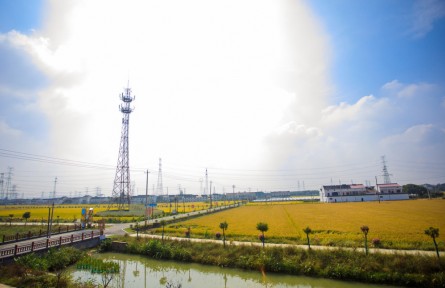 江蘇常州武進：堅持示范引領 著力推進高標準農(nóng)田建設