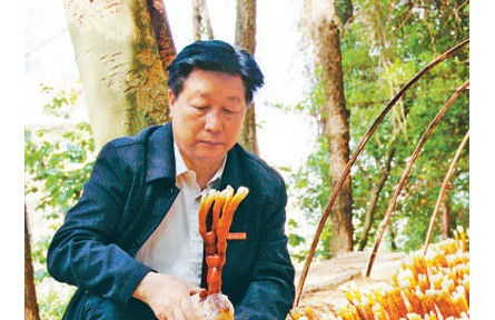 《山海情》蘑菇專家原型、“最美教師”林占熺：心心念念的，永遠(yuǎn)是菌草