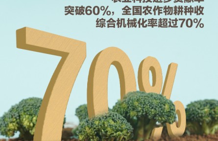 中國產(chǎn)糧能力有多強(qiáng)？這些數(shù)據(jù)告訴你答案