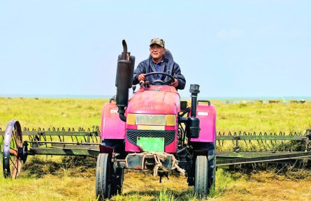 內(nèi)蒙古呼倫貝爾：農(nóng)牧業(yè)發(fā)展勢頭強(qiáng)勁 現(xiàn)代化步伐穩(wěn)步推進(jìn)