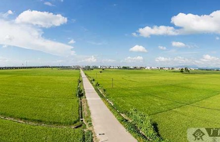 廣西：全面推行耕地保護田長制