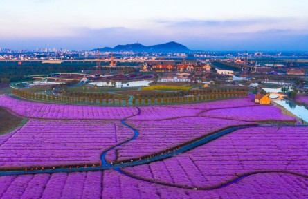 第十屆全國(guó)農(nóng)民攝影大展作品：美麗川星奔小康