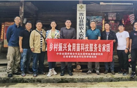 “鄉(xiāng)村振興食用菌科技服務(wù)專家團(tuán)”赴怒江州開(kāi)展科技服務(wù)