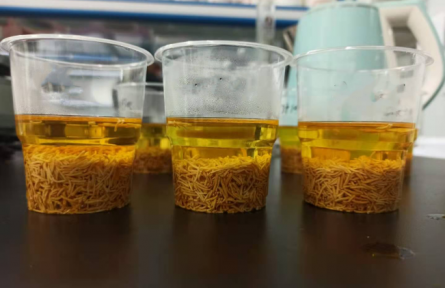 ?53、成果名稱：牡丹花蕊汽爆速溶茶加工技術(shù)