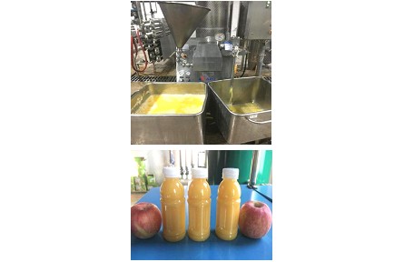 ?34、成果名稱(chēng)：NFC 蘋(píng)果汁加工成套技術(shù)