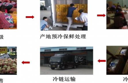 4、成果名稱：桃采后冷鏈流通保鮮技術(shù)
