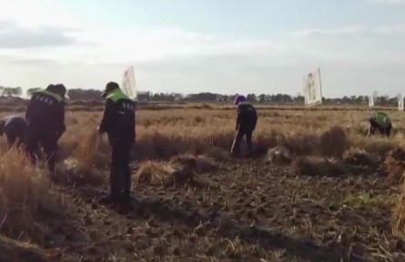 黑龍江：好糧，源于標(biāo)準(zhǔn)