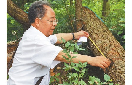 西南林業(yè)大學(xué)教授李鄉(xiāng)旺：扎根云嶺 守護青山