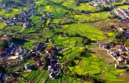 【弘揚偉大建黨精神 開創(chuàng)歷史新偉業(yè)】百年大黨引領中華民族偉大復興