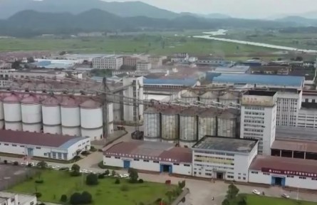 國(guó)家糧食和物資儲(chǔ)備局：新推出五項(xiàng)舉措 持續(xù)優(yōu)化為農(nóng)服務(wù)