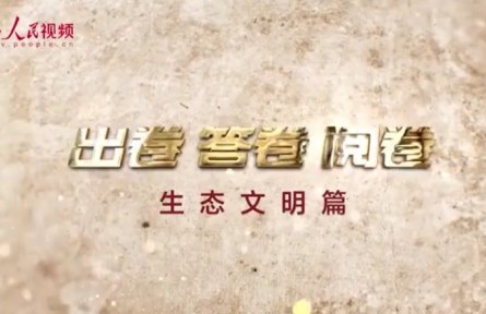 “為什么說綠水青山就是金山銀山？”