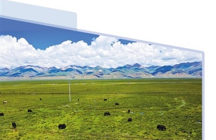 西藏當雄：牦牛產(chǎn)業(yè)魅力足