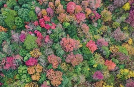 福建武平：保護(hù)生物多樣性 共建和諧美麗家園