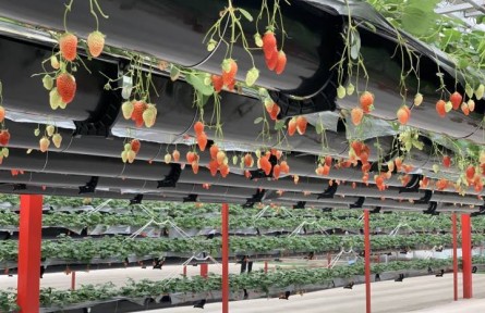 浙江杭州：催化鄉(xiāng)村“鏈”式發(fā)展 豐富經(jīng)濟(jì)業(yè)態(tài)