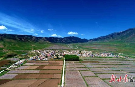 甘肅：統(tǒng)籌推進疫情防控和高標(biāo)準(zhǔn)農(nóng)田建設(shè)