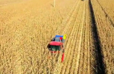 ?  吉林：加強(qiáng)糧食產(chǎn)后配套服務(wù) 爭(zhēng)當(dāng)糧食安全“壓艙石”