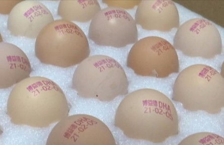 江蘇淮安盱眙縣鮑集鎮(zhèn)鄒黃村：打碼的雞蛋，新鮮看得見！?