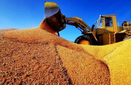 北大荒集團(tuán)加快糧食統(tǒng)營(yíng)進(jìn)程保障國(guó)家糧食安全