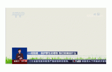 熊貓大事件：五個數(shù)！看遍祖國的綠水青山