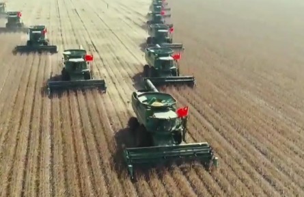 黑龍江：黑土生金 增收有道