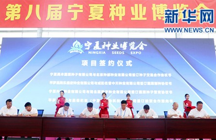 “小種子”撬動(dòng)大產(chǎn)業(yè) 第八屆寧夏種業(yè)博覽會(huì)簽約資金9.35億元