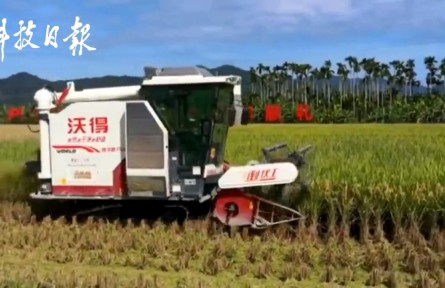 超額完成袁隆平3000斤目標(biāo)任務(wù)！海南雙季稻畝產(chǎn)創(chuàng)紀(jì)錄