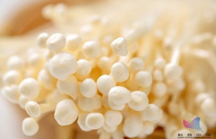 平時吃的金針菇，其實多是銀針菇？兩者有何不同？