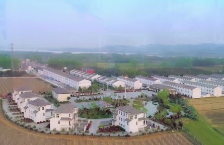 美麗鄉(xiāng)村，振興有我 | 安徽鳳陽：記四位農(nóng)村青年在鄉(xiāng)村廣闊舞臺上奮斗青春