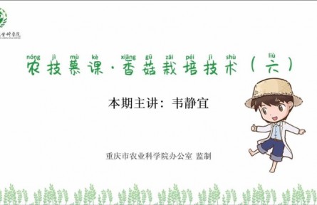 香菇栽培技術(shù)（六）