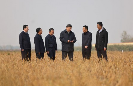 中央農(nóng)村工作會(huì)議部署糧食安全，總書(shū)記為何強(qiáng)調(diào)“責(zé)任”兩個(gè)字