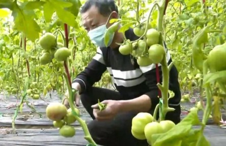 新疆：學深悟透 凝聚鄉(xiāng)村振興工作合力