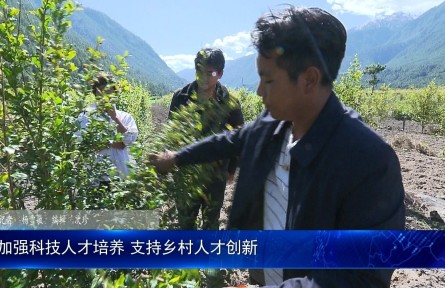 西藏林芝：加強科技人才培養(yǎng) 支持鄉(xiāng)村人才創(chuàng)新