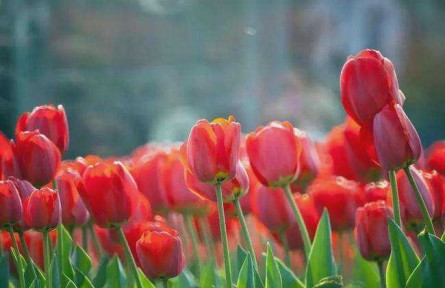 長安論道 | 做對了做好了，才叫做實了