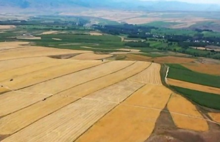 新疆：推進(jìn)“優(yōu)質(zhì)糧食工程” 扛穩(wěn)糧食安全重任