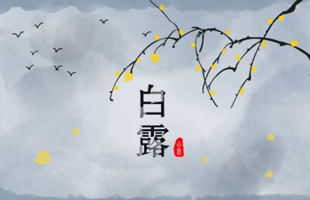 白露，繁華季節(jié)的謝幕