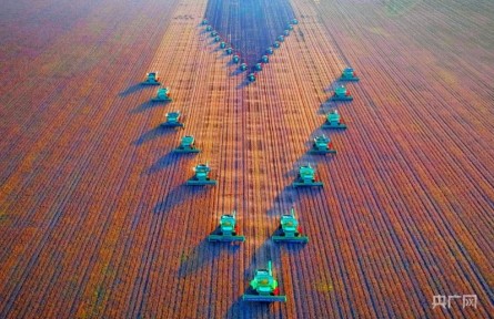 黑龍江：北國倉廩端穩(wěn)“中國飯碗” 共和國工業(yè)搖籃擁抱數(shù)字浪潮