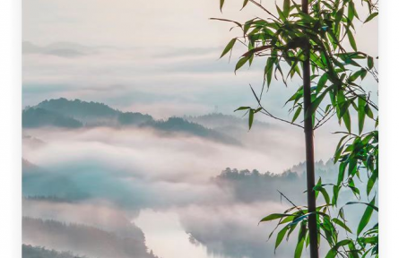 名人名言 | 孔子：其身正，不令而行；其身不正，雖令不從