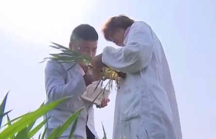 安徽：開局抓作風(fēng) 聚力謀發(fā)展