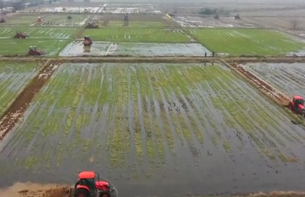 江西：春耕備耕工作全面展開(kāi)