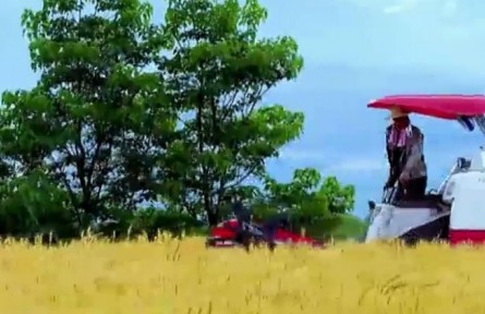 云南迪慶：把傳統(tǒng)產(chǎn)業(yè)做細(xì) 把特色產(chǎn)業(yè)做精