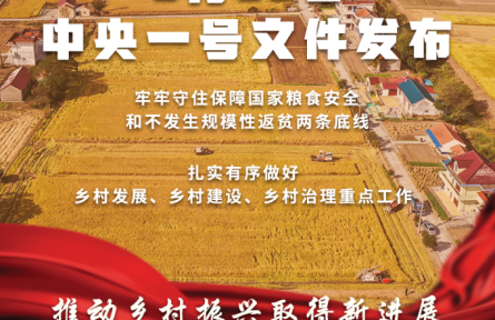 2022年中央一號文件公布 提出全面推進(jìn)鄉(xiāng)村振興重點(diǎn)工作