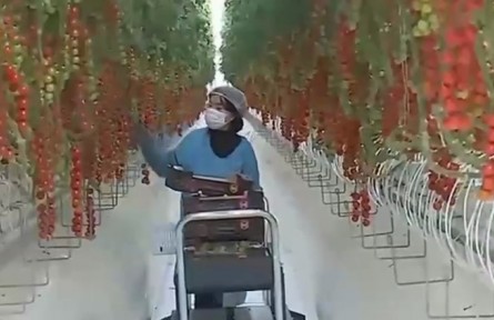 【奮進(jìn)新征程 建功新時(shí)代】甘肅：龍頭企業(yè)帶動(dòng)發(fā)展 促進(jìn)產(chǎn)業(yè)提質(zhì)增效