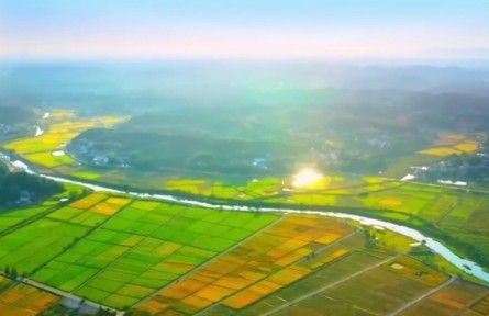 湖南：做強種子“芯片” 保障糧食安全