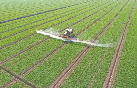 安徽：春耕備耕有序展開 不誤農(nóng)時(shí)不負(fù)春