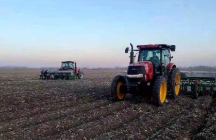 黑龍江查哈陽農(nóng)場：種好“科技田” 結(jié)出“金豆豆”