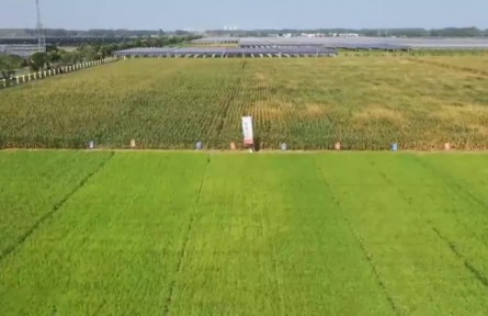 耕地保護：保數(shù)量 提質量 管用途 挖潛力